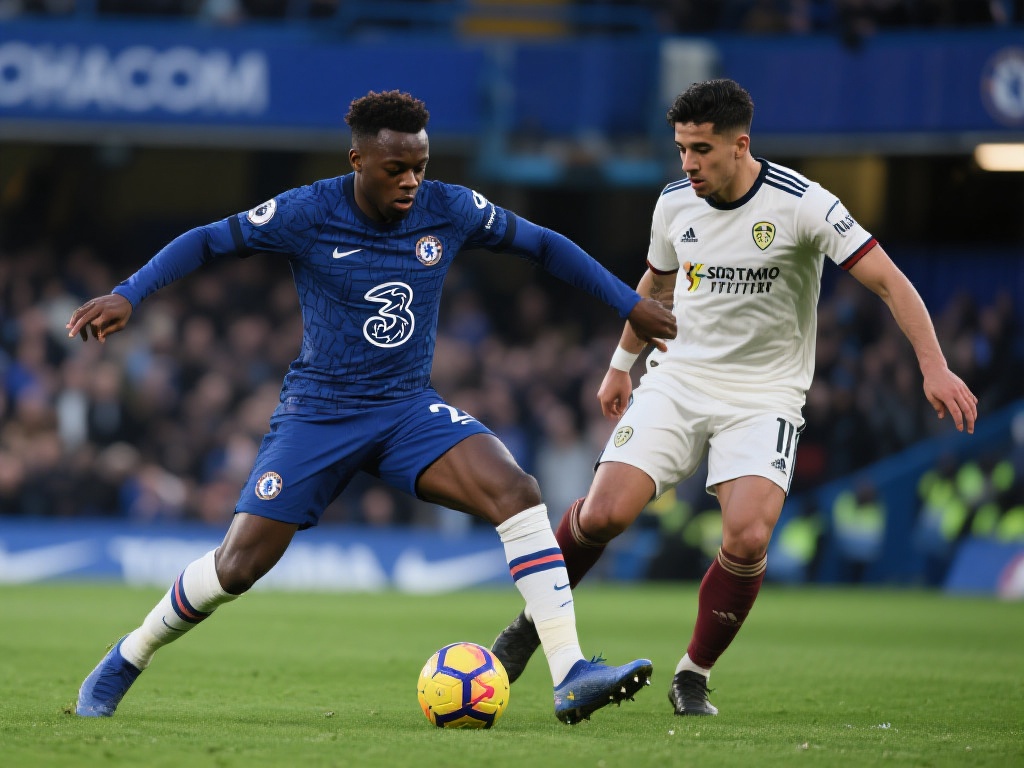 球迷们不妨 球迷们不妨